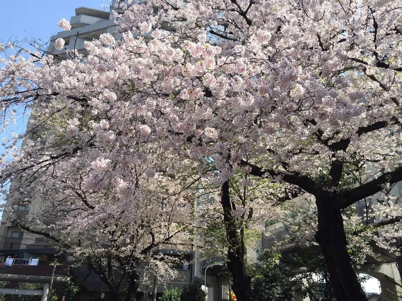 アパート H2O Stay Shinjuku Matsumotokan #M302 東京都